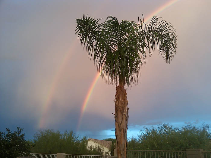 Double rainbow